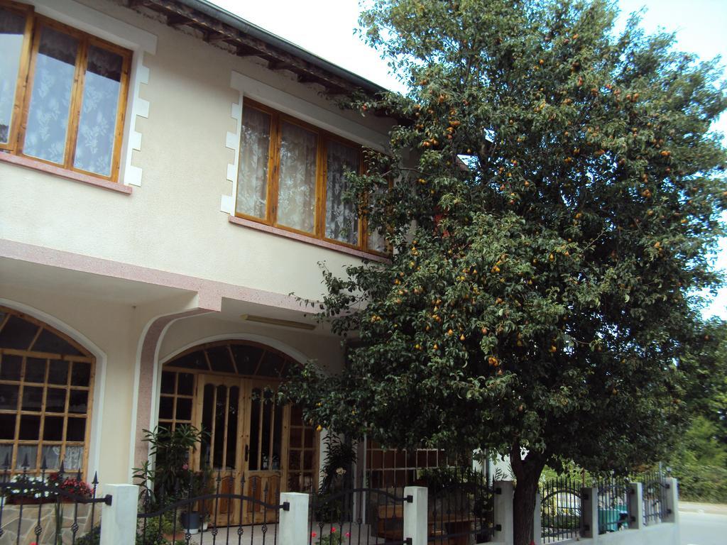 Amfora Guest House Byala  Buitenkant foto
